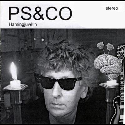 PS & Co's cover