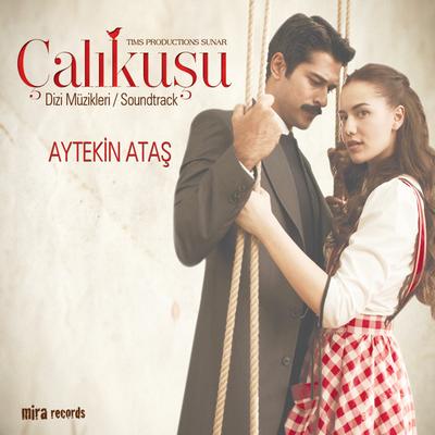 Bahçada Yeşil Çınar (feat. Fahriye Evcen) By Aytekin Ataş, Fahriye Evcen's cover