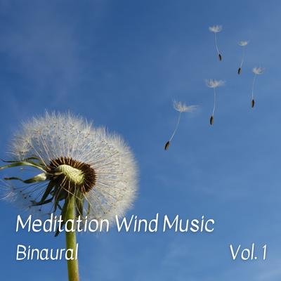 Binaural Beats Meditation Music By Binaural Beats Recordings, Native American Meditations, Meditation and Relaxation's cover