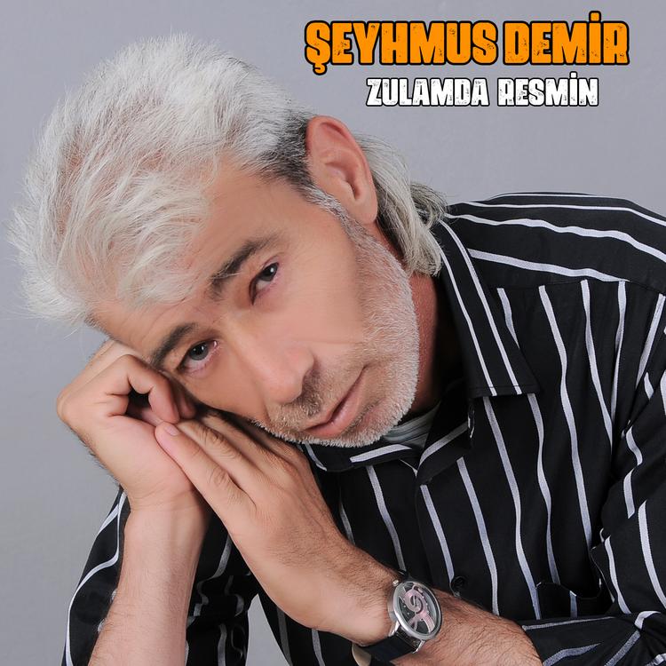 ŞEYHMUS DEMİR's avatar image