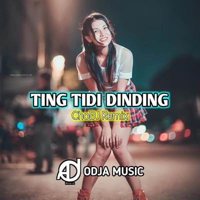 DJ TING TIDI DINGING's cover