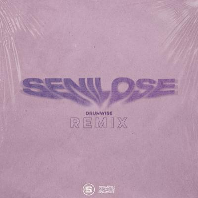 SeniLose (DRUMWISE Remix) By Siaosi, DRUMWISE's cover