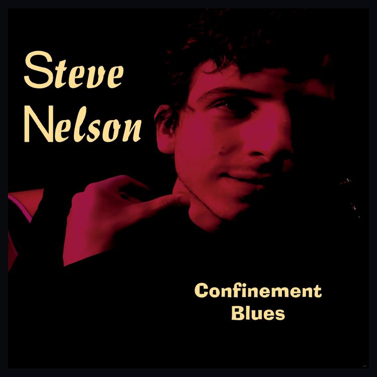 Steve Nelson's avatar image