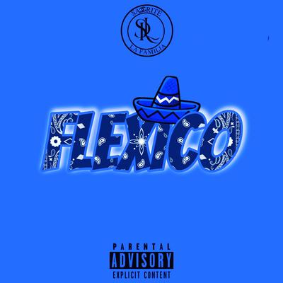 FLEXICO's cover