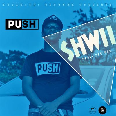 Shwii (feat. Zee Bee)'s cover