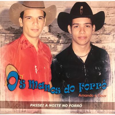 Os Manos do Forró, Vol. 2's cover