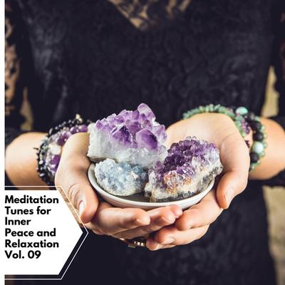 Meditation Tunes for Inner Peace and Relaxation Vol. 09's cover