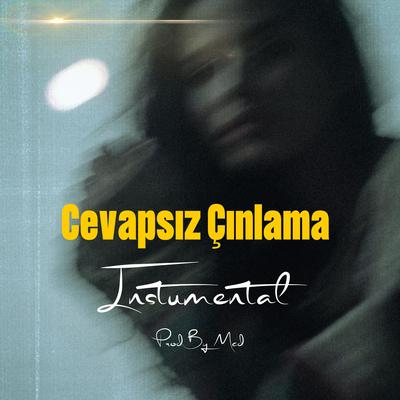 Cevapsız Çınlama (Instumental Version)'s cover