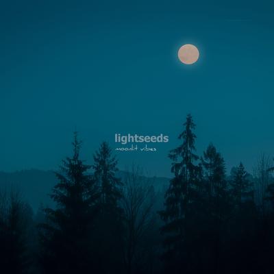 Moonlit Vibes By Lightseeds's cover