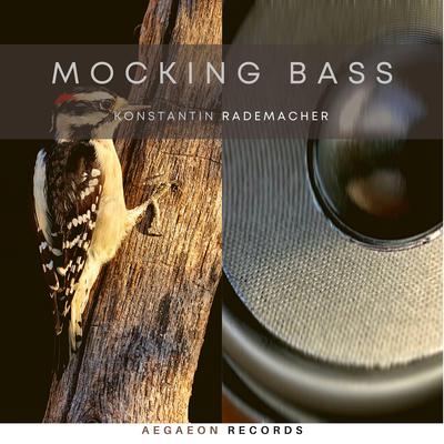 Mocking Bass (Original Clubmix)'s cover