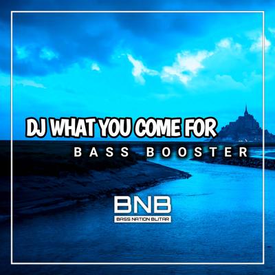 DJ What You Come For Bass Booster's cover