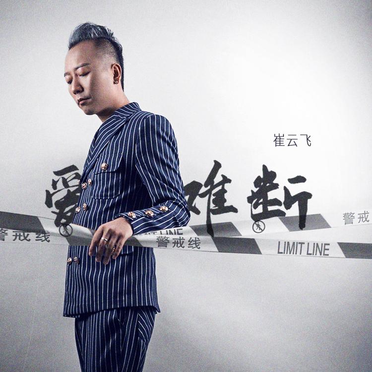 崔云飞's avatar image