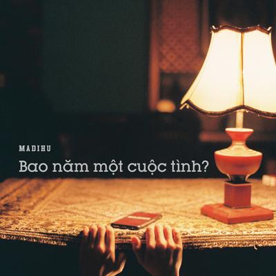 Bao năm một cuộc tình?'s cover