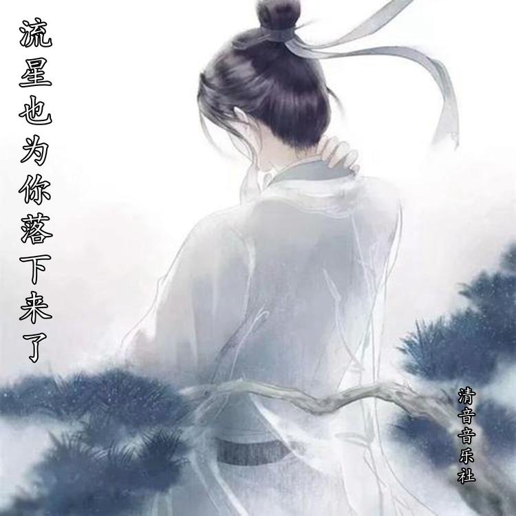 清音音乐社's avatar image