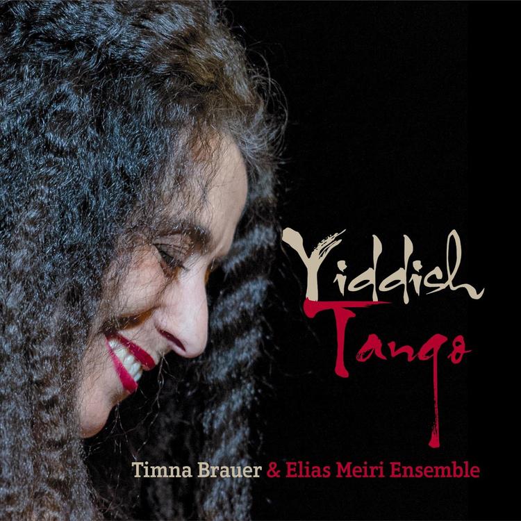 Timna Brauer & Elias Meiri Ensemble's avatar image