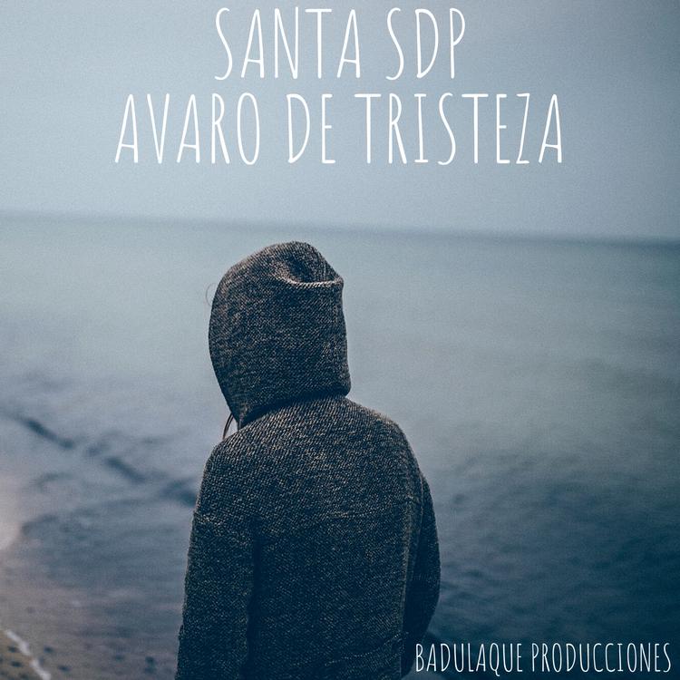 Santa Sdp's avatar image