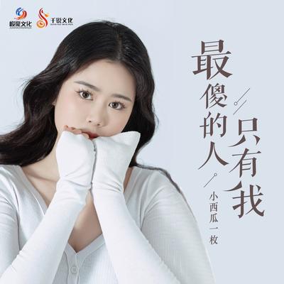 最傻的人只有我's cover