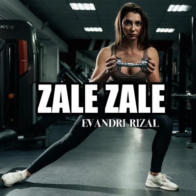 Zale Zale (Remix)'s cover
