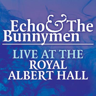 Live at the Royal Albert Hall's cover