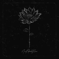 Never Bothered To Bloom's avatar cover