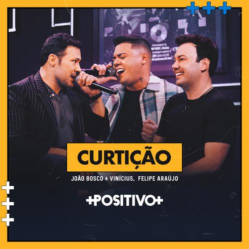 Curtição (Ao Vivo)'s cover