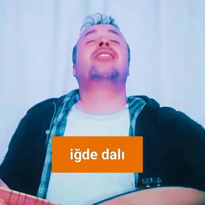 İğde dalı, igde dali's cover