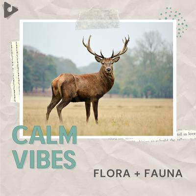 Flora + Fauna's cover