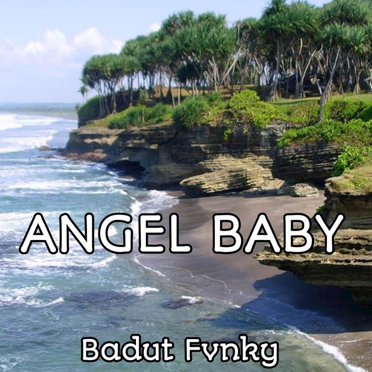 BADUT FVNKY's avatar image