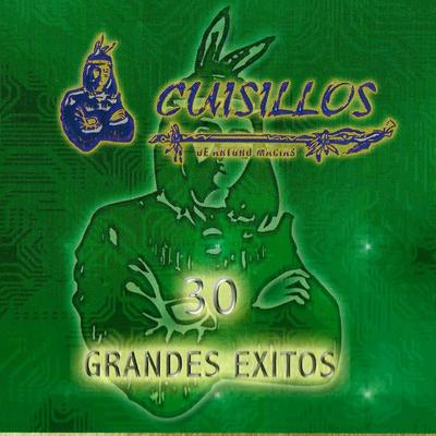 30 Grandes Exitos's cover
