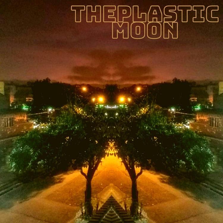 The Plastic Moon's avatar image