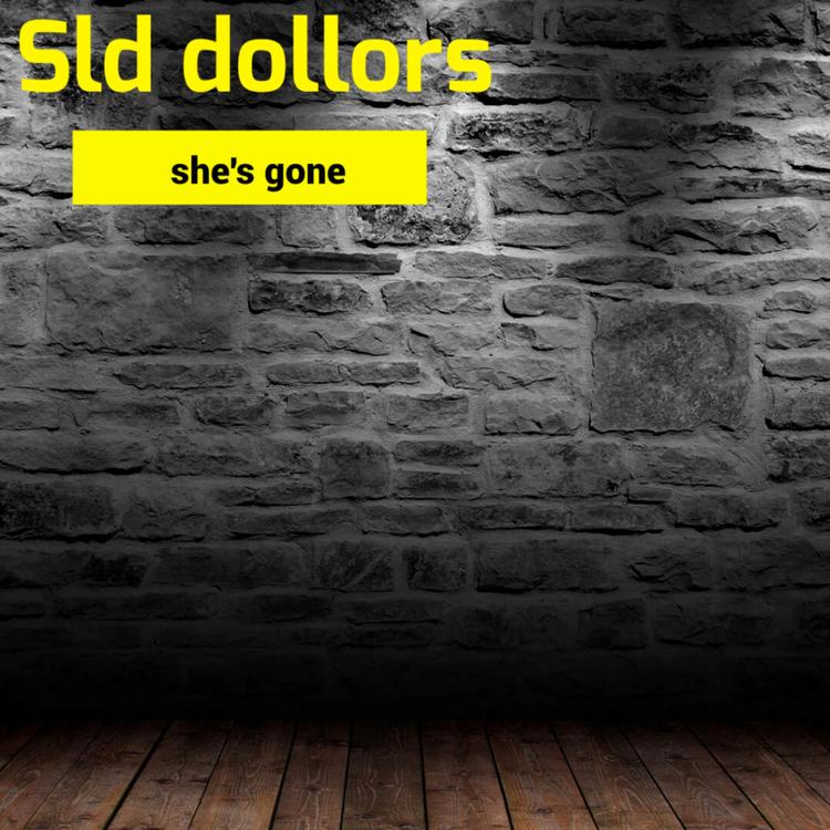 Sld Dollors's avatar image