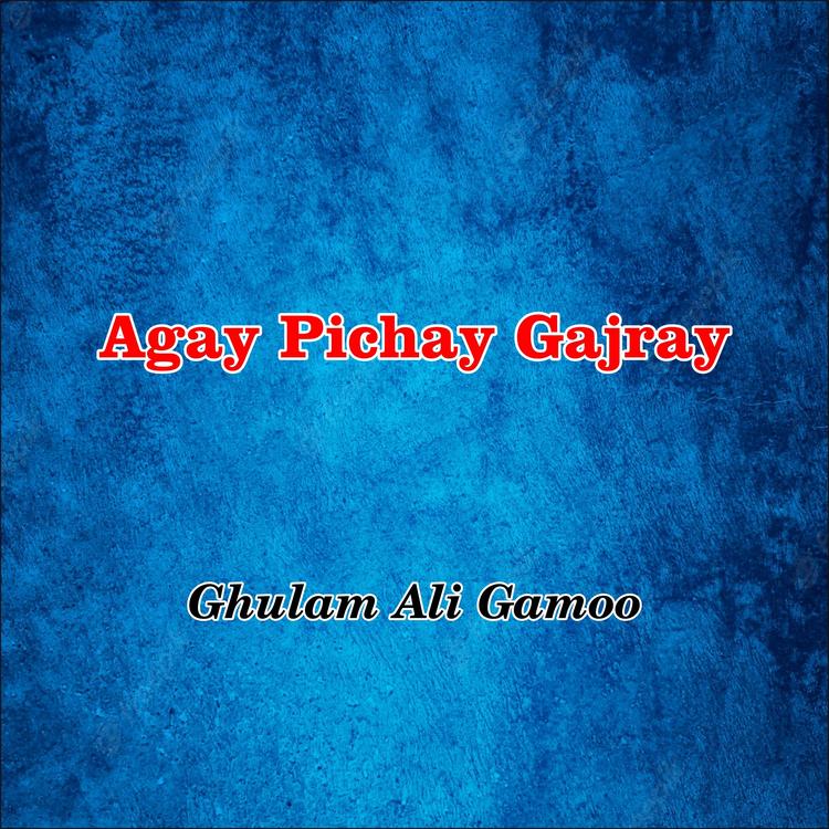 Ghulam Ali Gamoo's avatar image