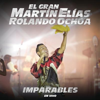 Loco por Tu Amor (En Vivo) By El Gran Martín Elías's cover