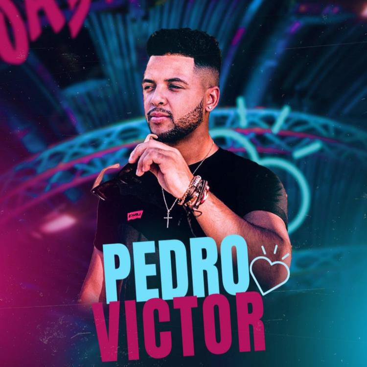 Pedro Victor PV's avatar image