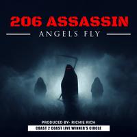 206 Assassin's avatar cover