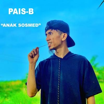 Anak Sosmed's cover