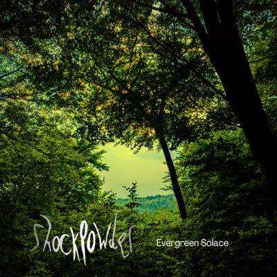 Evergreen Solace By Shockpowder's cover