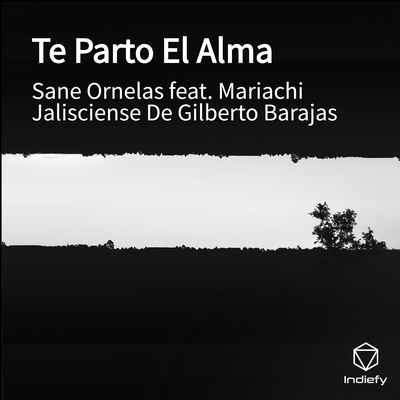 Sane Ornelas's cover