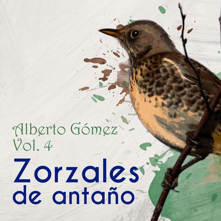 Alberto Gómez's avatar image