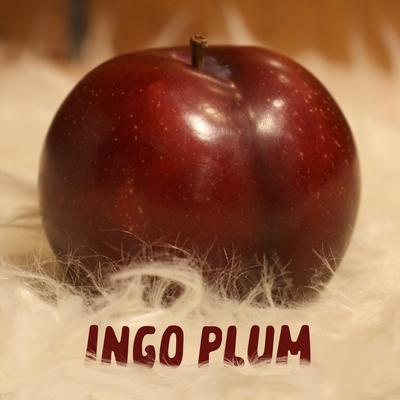 Reason to Stay By Ingo Plum's cover