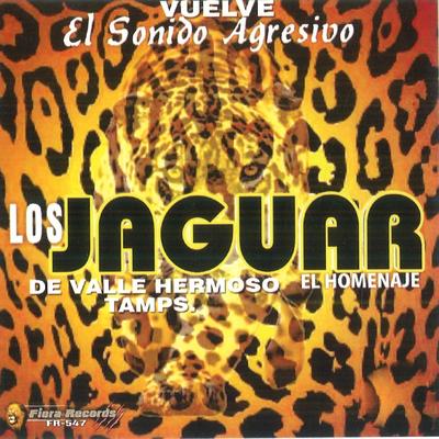 Los Jaguar De Valle Hermoso's cover