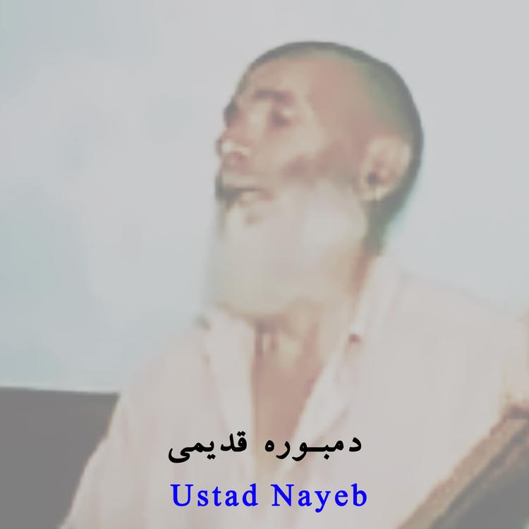 Ustad Nayeb's avatar image