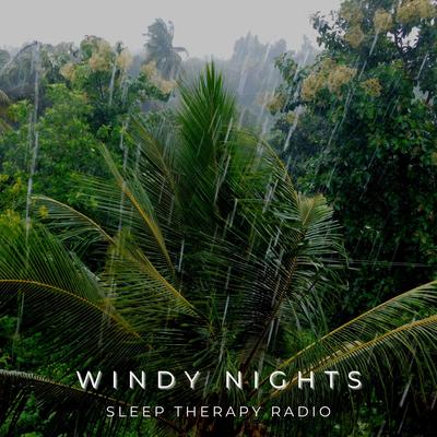 Windy Drops By Sleep Therapy Radio's cover