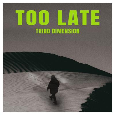 Too Late By Third Dimension's cover