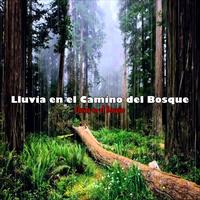 Lluvia en el Bosque's avatar cover