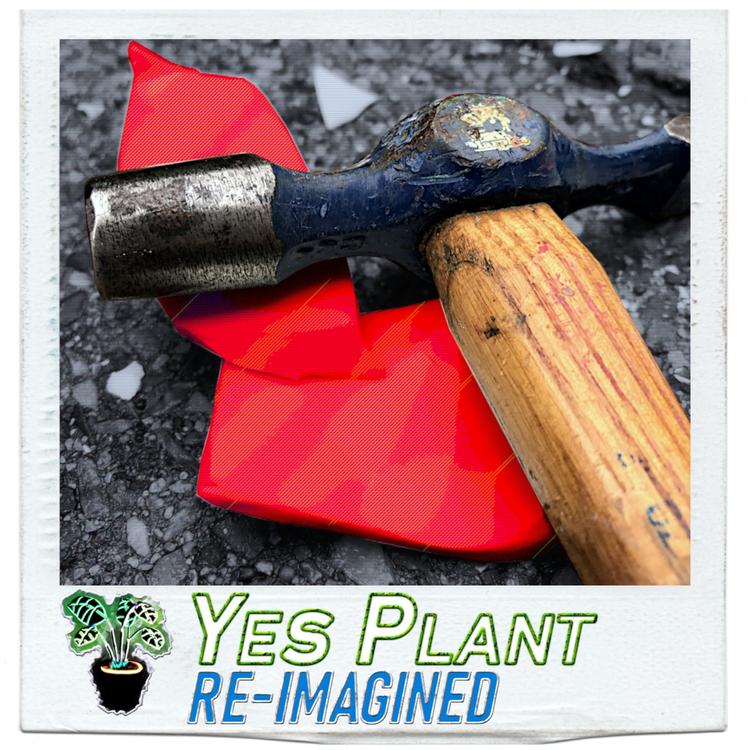 Yes Plant's avatar image