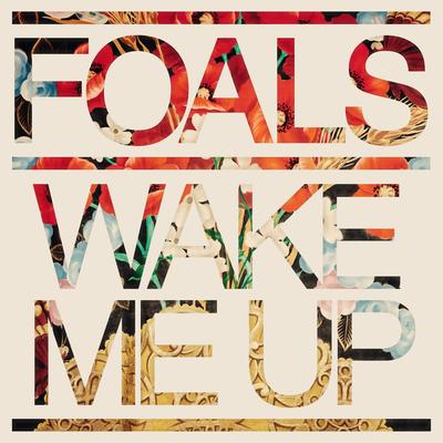 Wake Me Up By Foals's cover