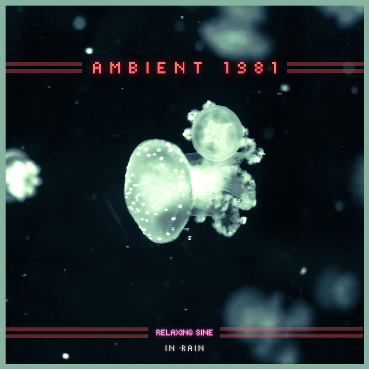 Ambient 1981's avatar image