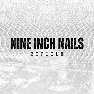 Head Like A Hole (Live) By Nine Inch Nails's cover
