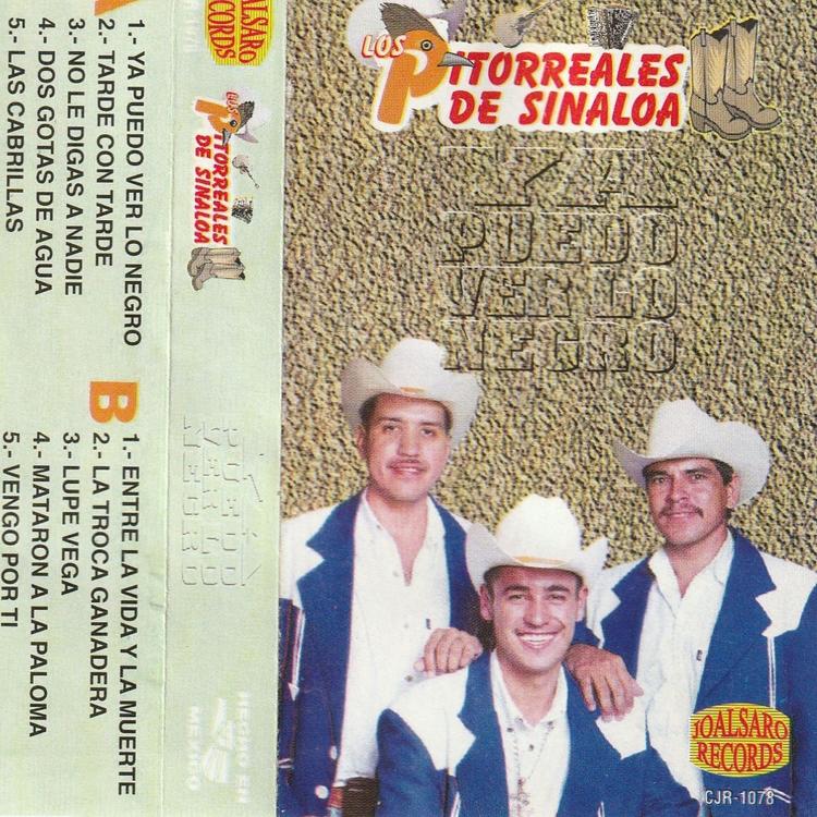 Los Pitorreales De Sinaloa's avatar image